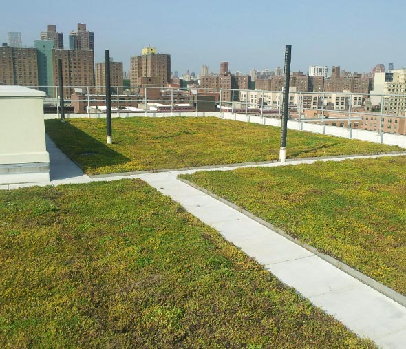 Green Roofs